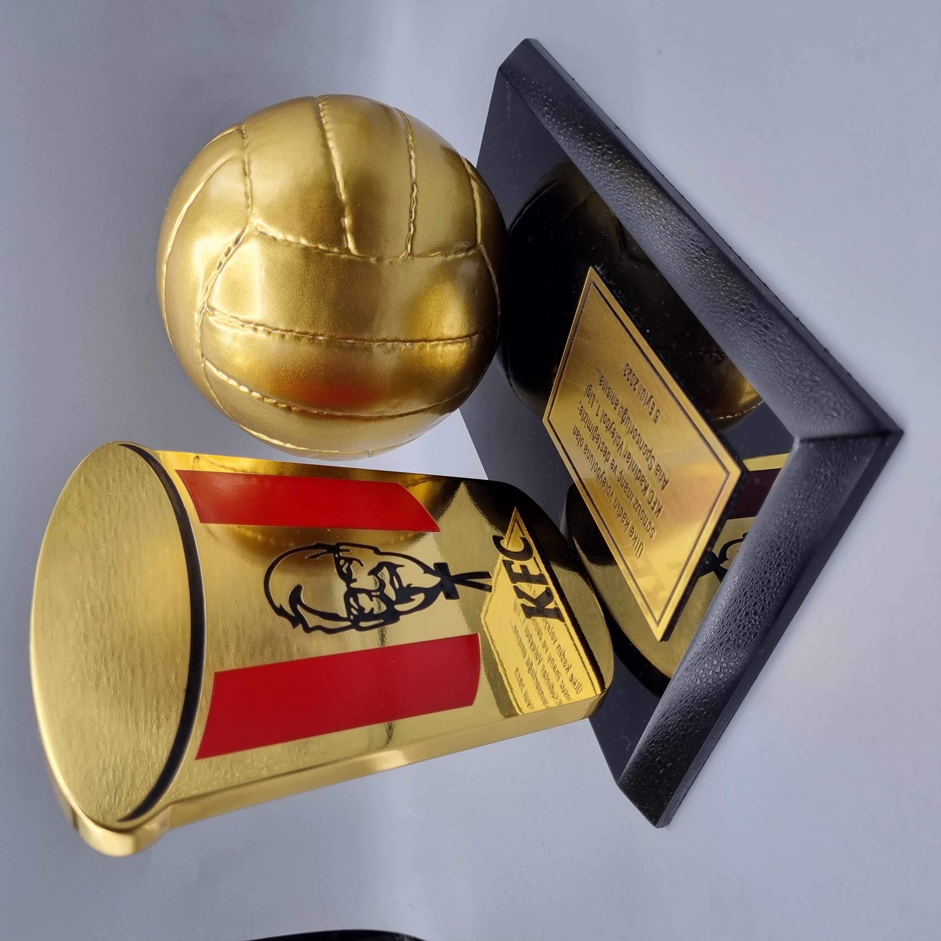 KFC Voleybol Özel Ödülü